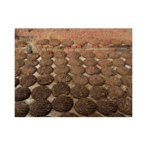 cow dung cakes
